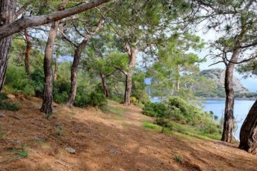 Destinations écoresponsables 2026 : où voyager sans culpabilité